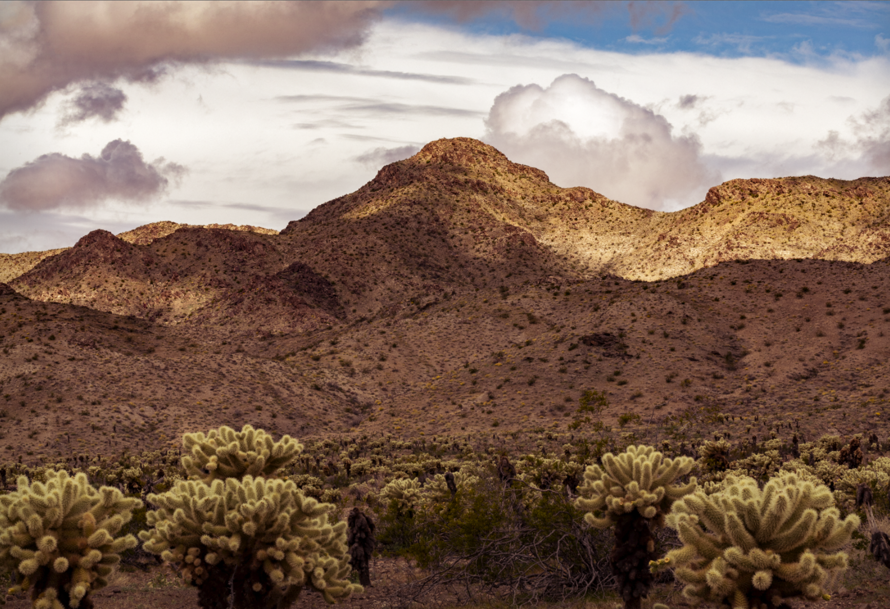 Screen Shot 2020-04-17 at 4.30.43 PM.png