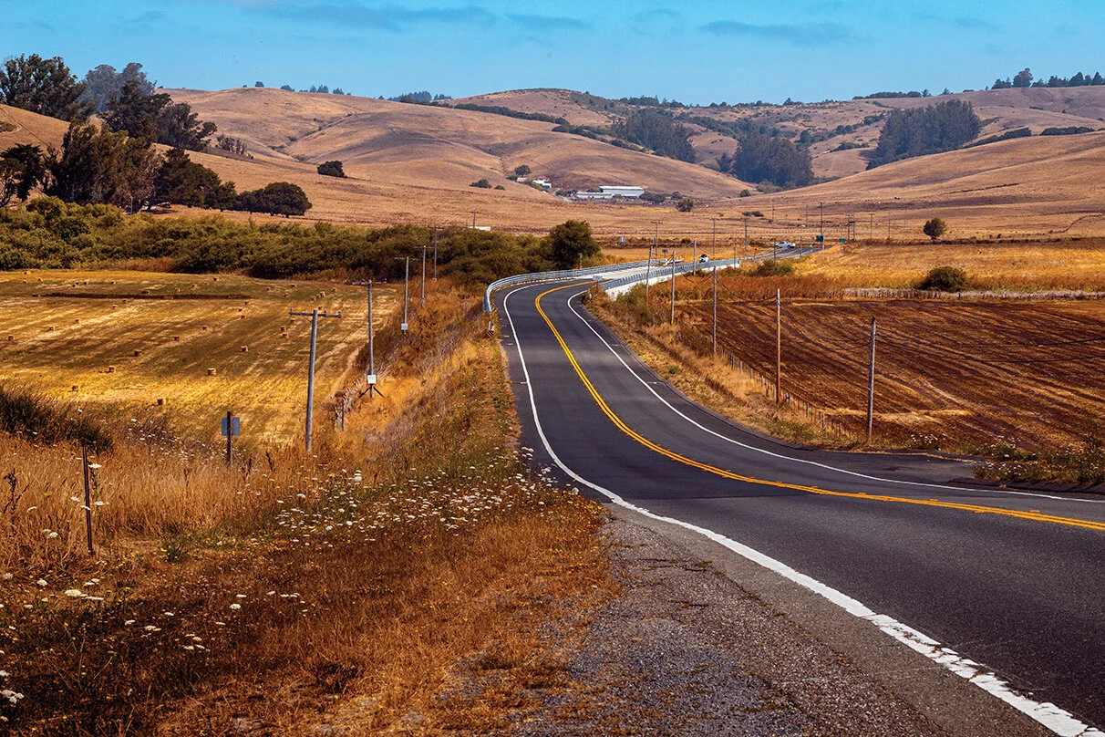 Tomales Road 1_MG_0280-1 website.jpg