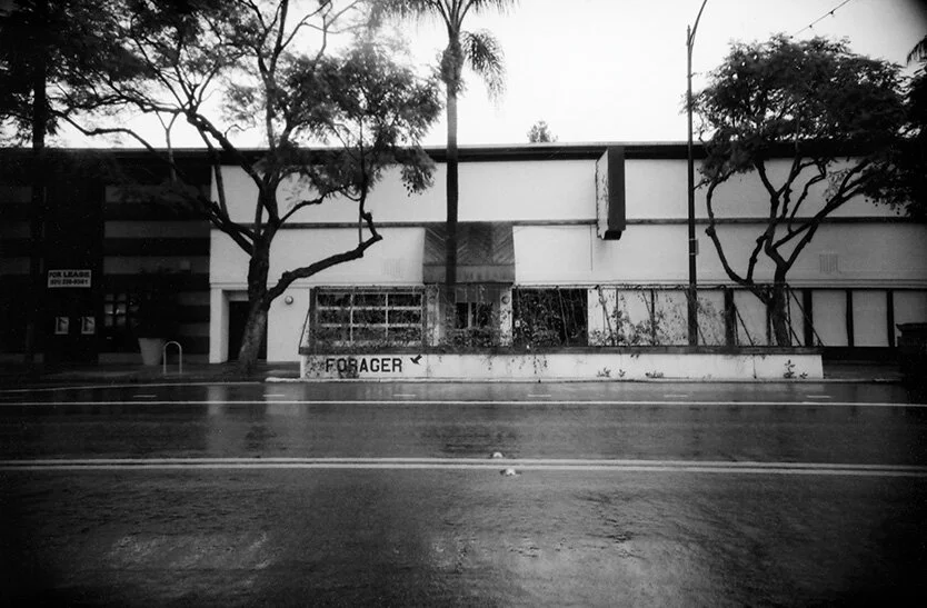 Forager  WEBSITE.jpg