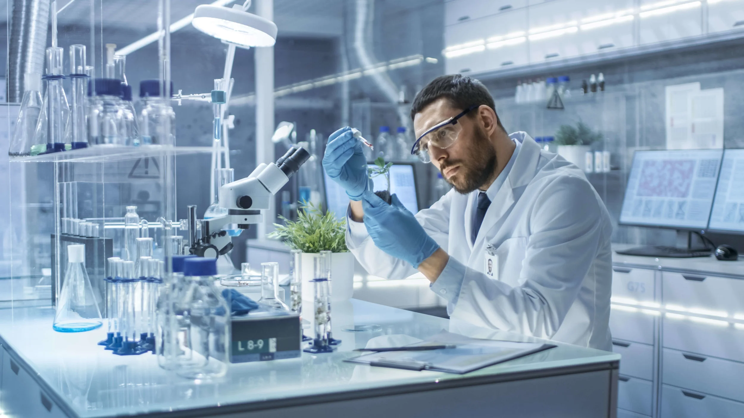 CBDOil_SocietyMarbella.jpg