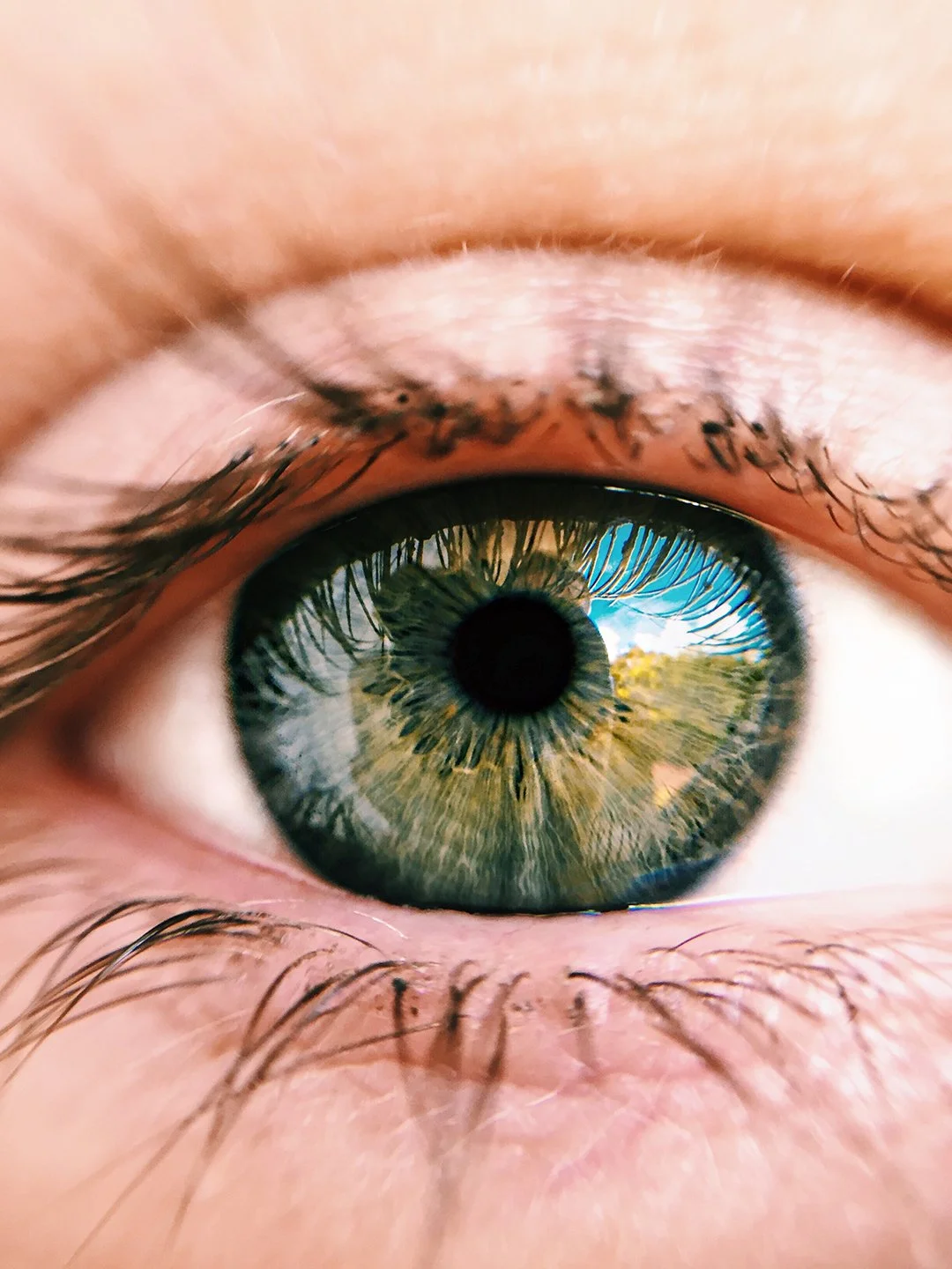 The Eyes Have It