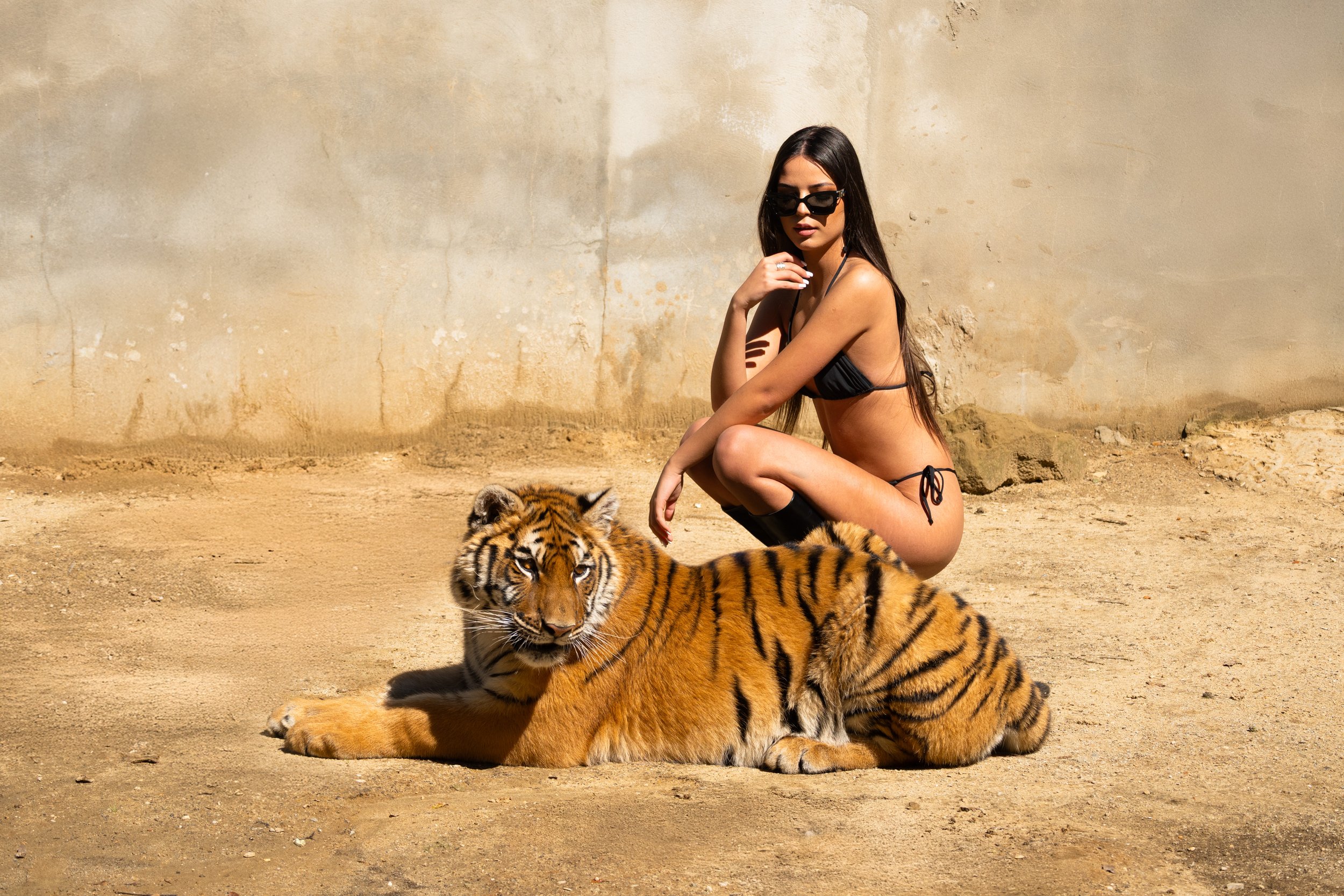 ds-zoo-7.jpg