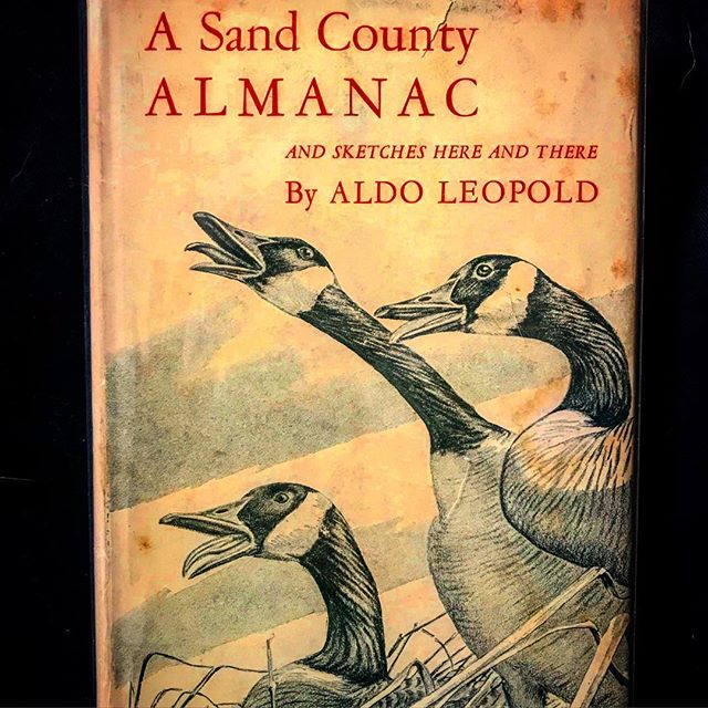 One of the great nature writers of the 20th c., Aldo Leopold, was born #onthisday (Jan. 11) in 1887 (and was a fellow @lvillealumni ) #aldoleopold #wilderness #americancanopy #asandcountyalmanac @lvilleschool