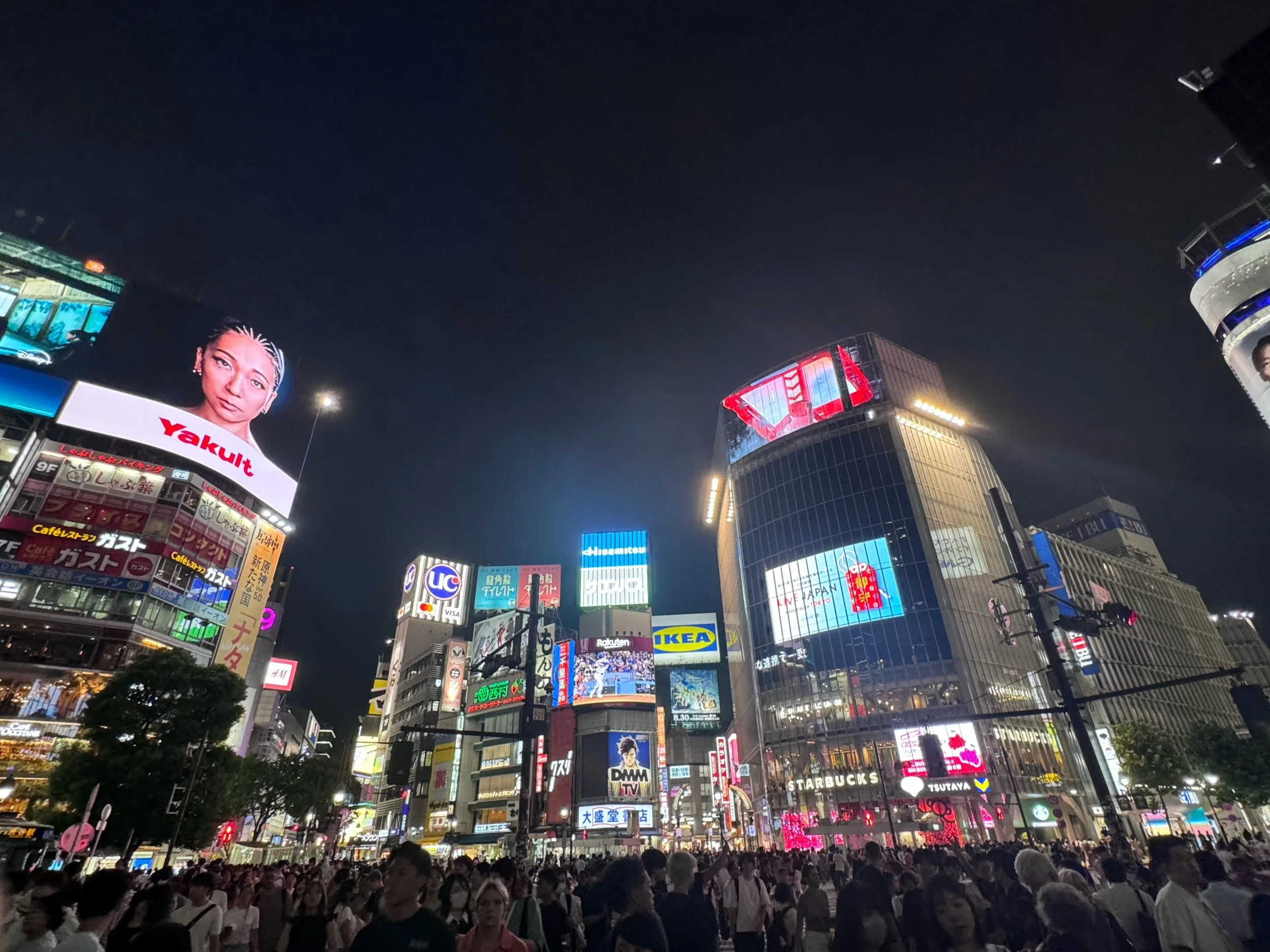 Tokyo Travel Guide: Neighborhood Highlights