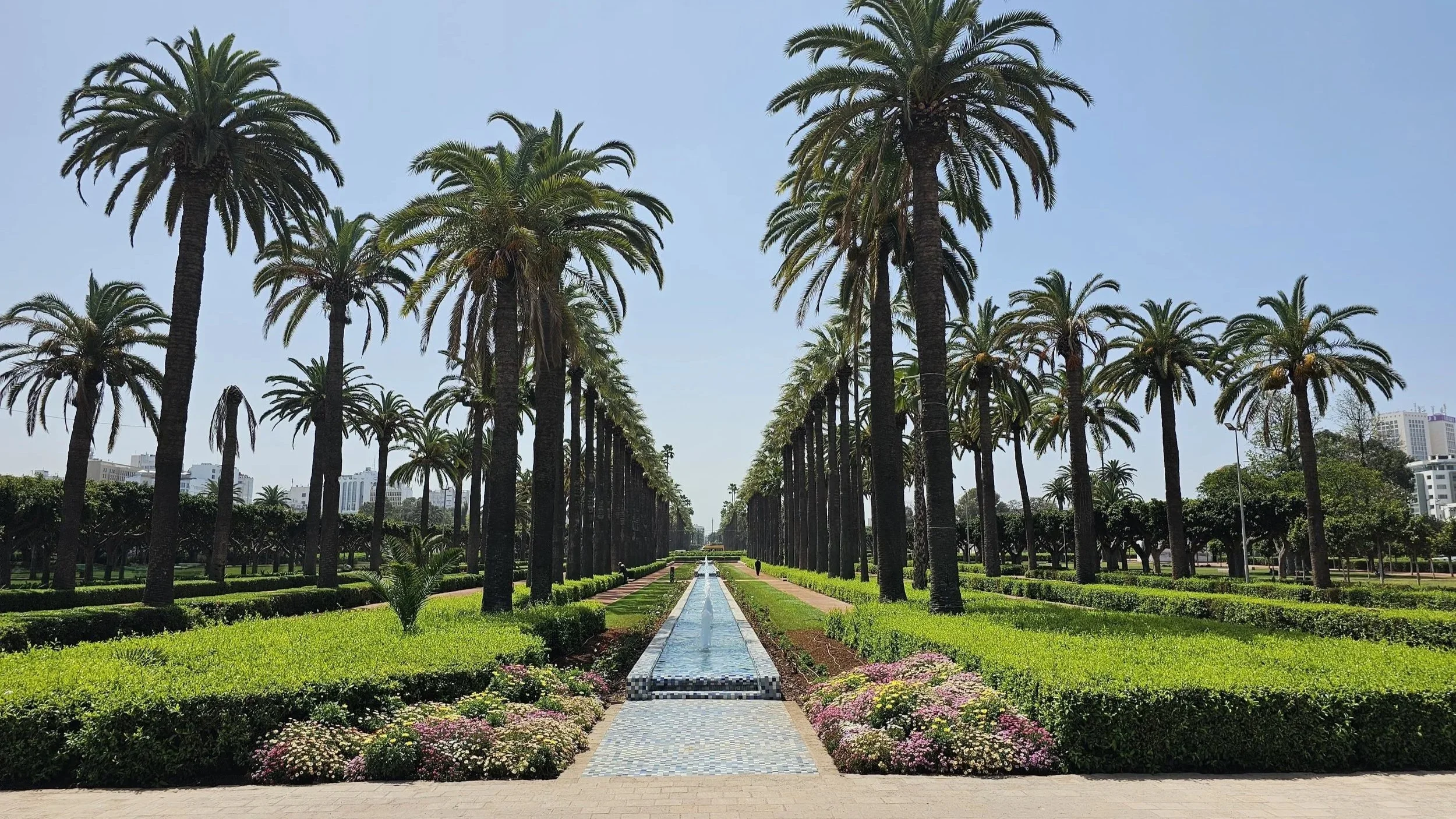 Casablanca in a Day
