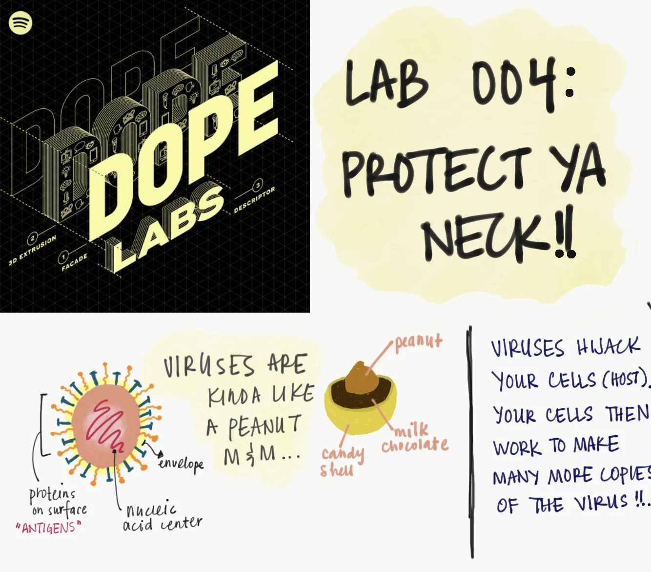 Lab 004 - Protect Ya Neck