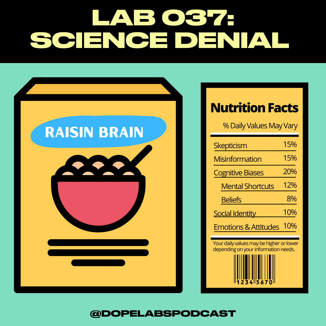 Lab 037: In Denial
