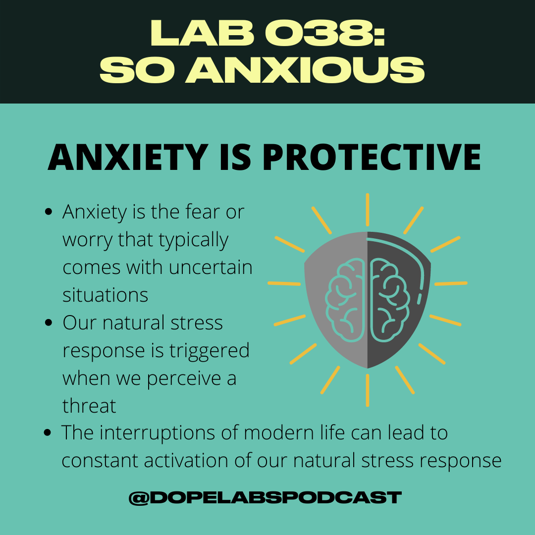 Lab 038 Protective Anxiety.png