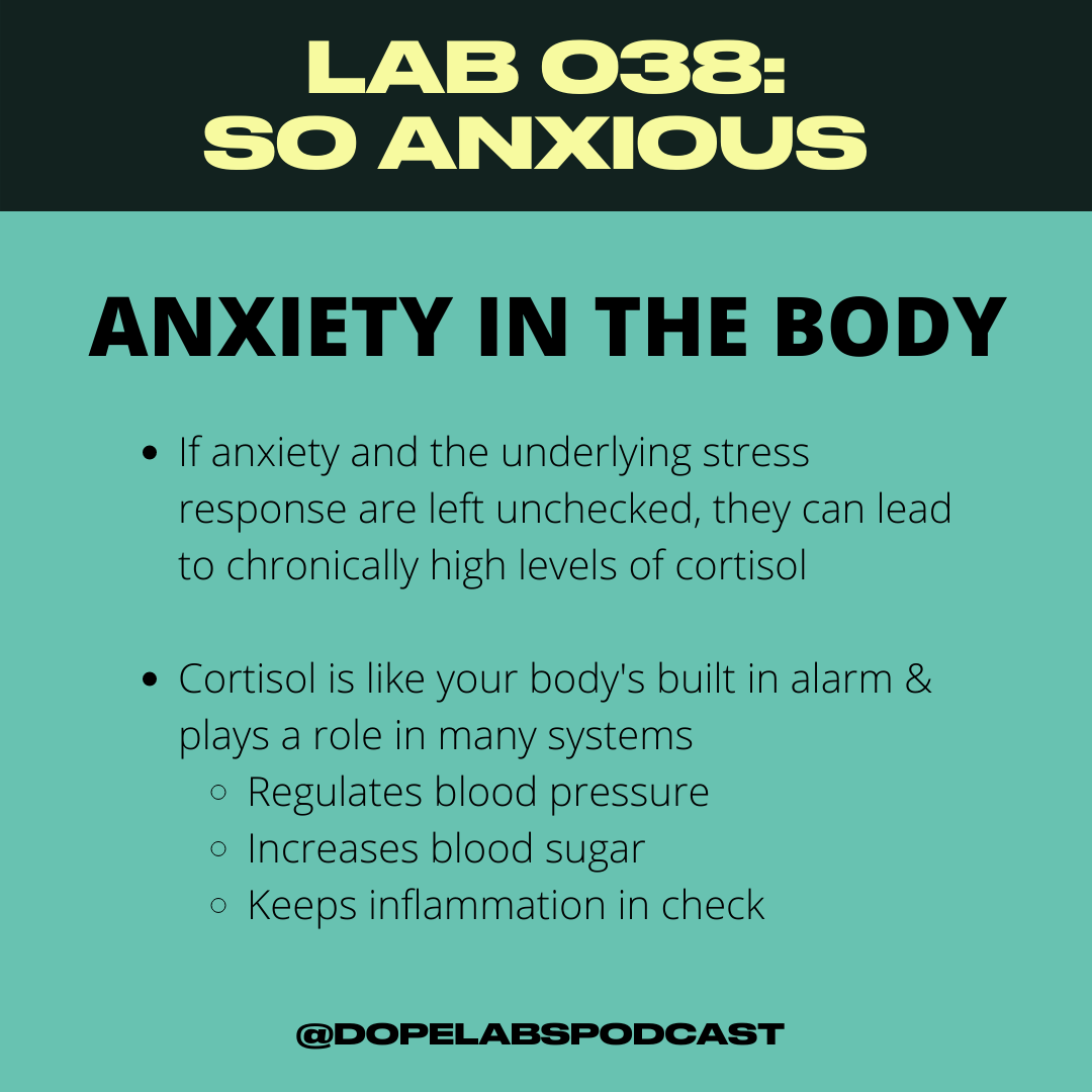 Lab 038 Cortisol Body.png