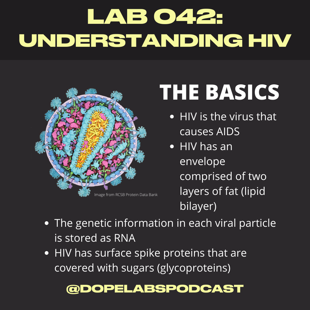 Lab 042 - HIV Basics.png