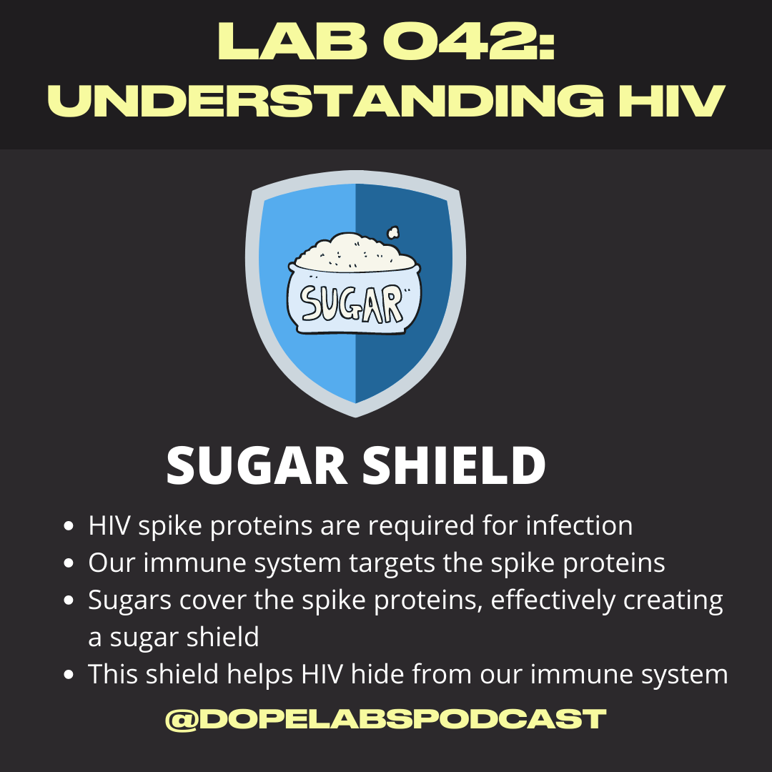 Lab 042 HIV Sugar Shield.png