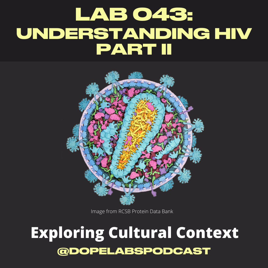 HIV Part II Cover (2).png