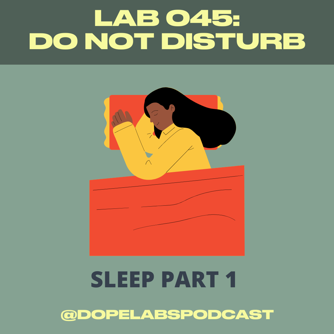 LAB 045: Do Not Disturb Part I
