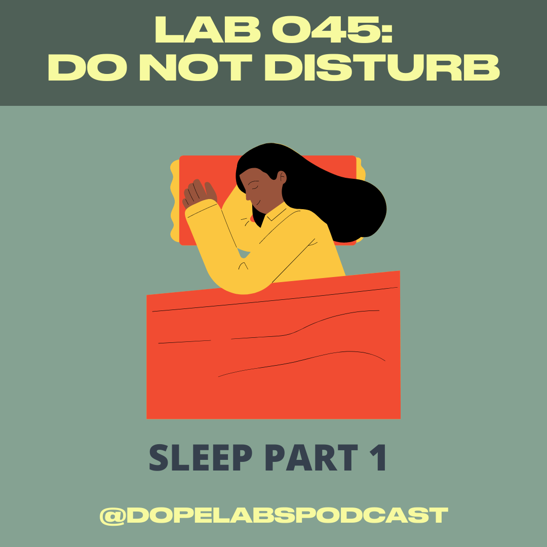 Lab 045 Do Not Disturb.png