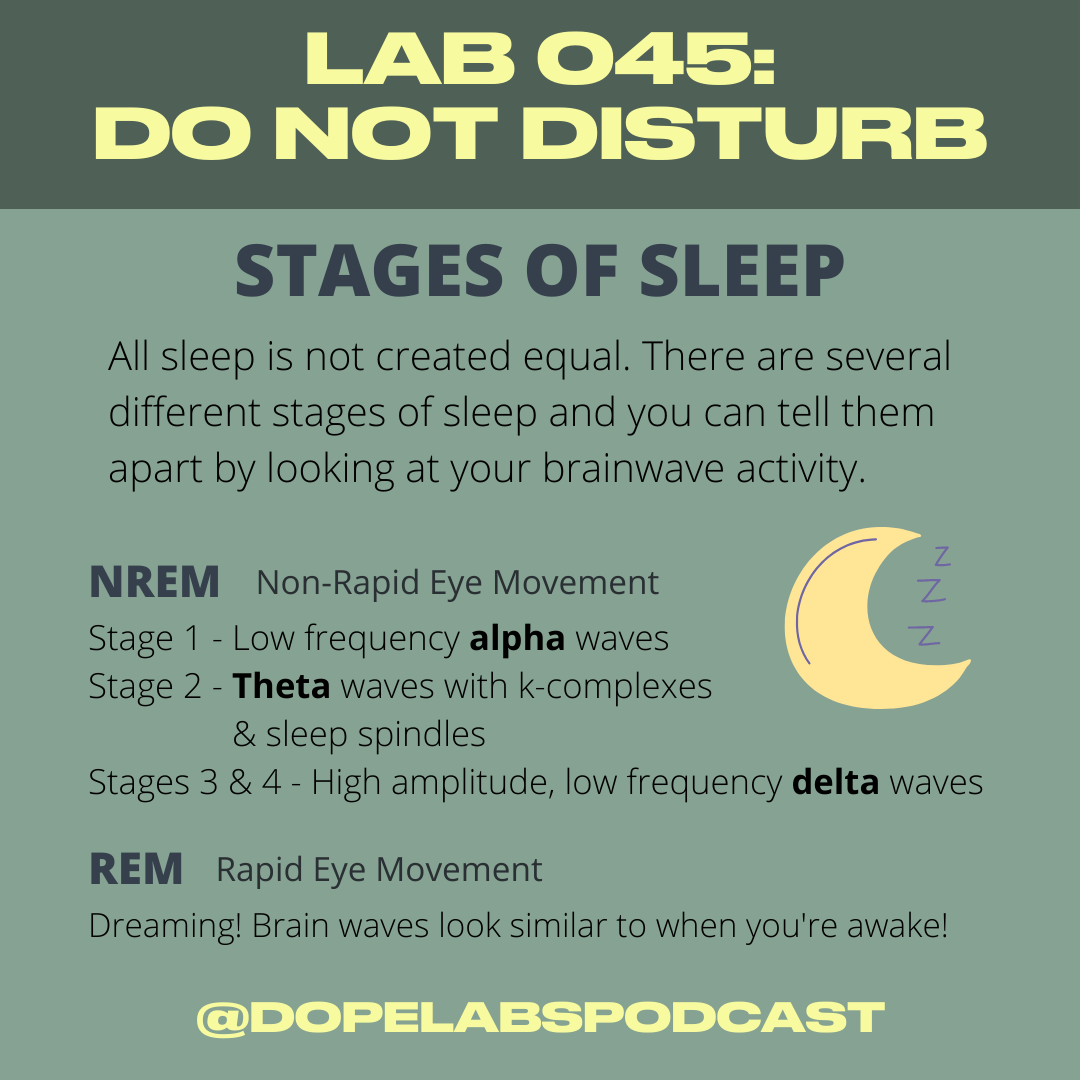 Lab 045 Do Not Disturb-2.png