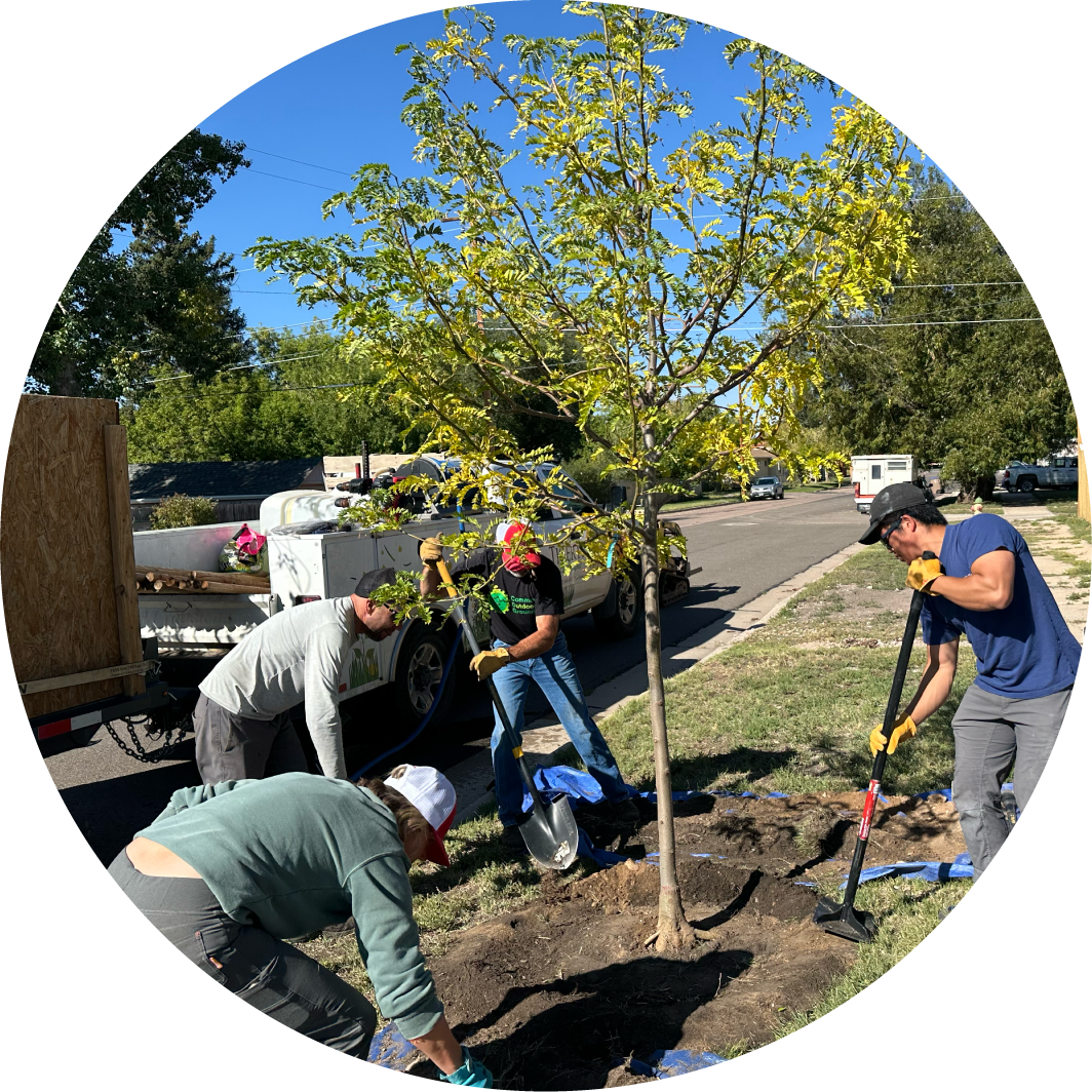 COG volunteers planting a tree