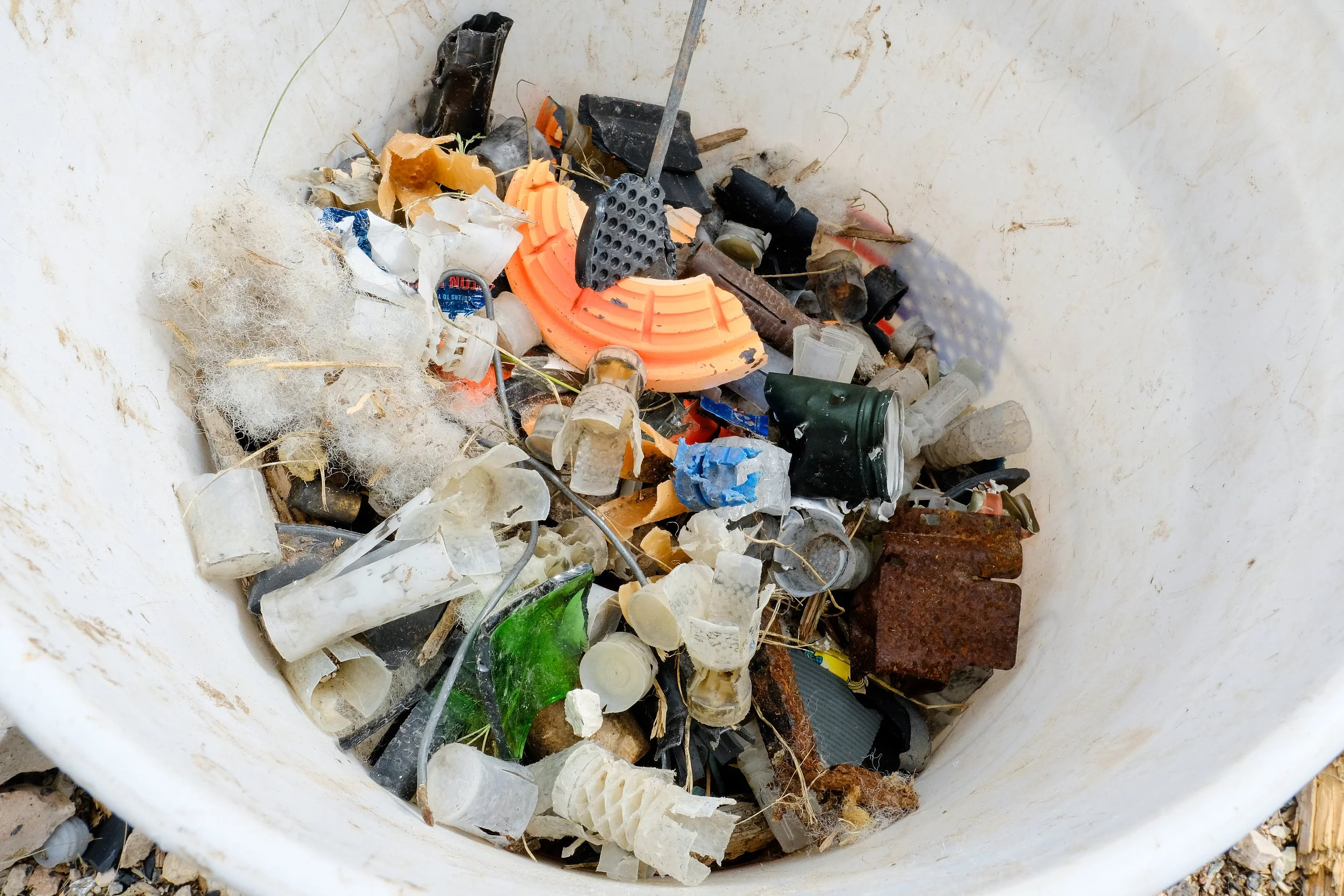 Roger Canyon Spring Cleanup