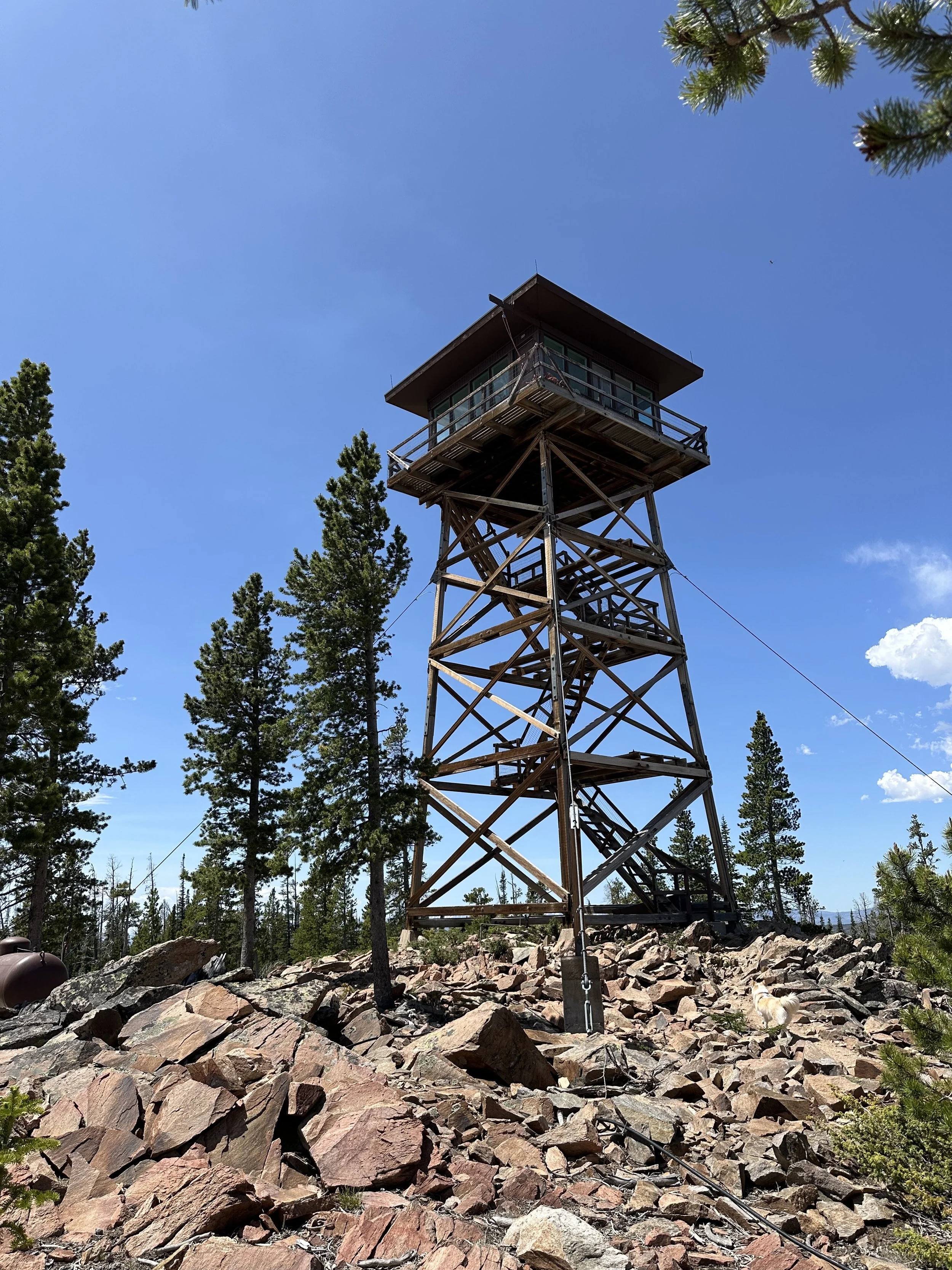 Spruce Mountain Lookout Painting