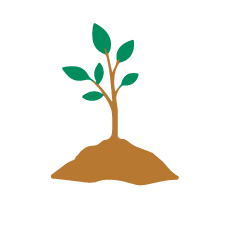 Tree icon