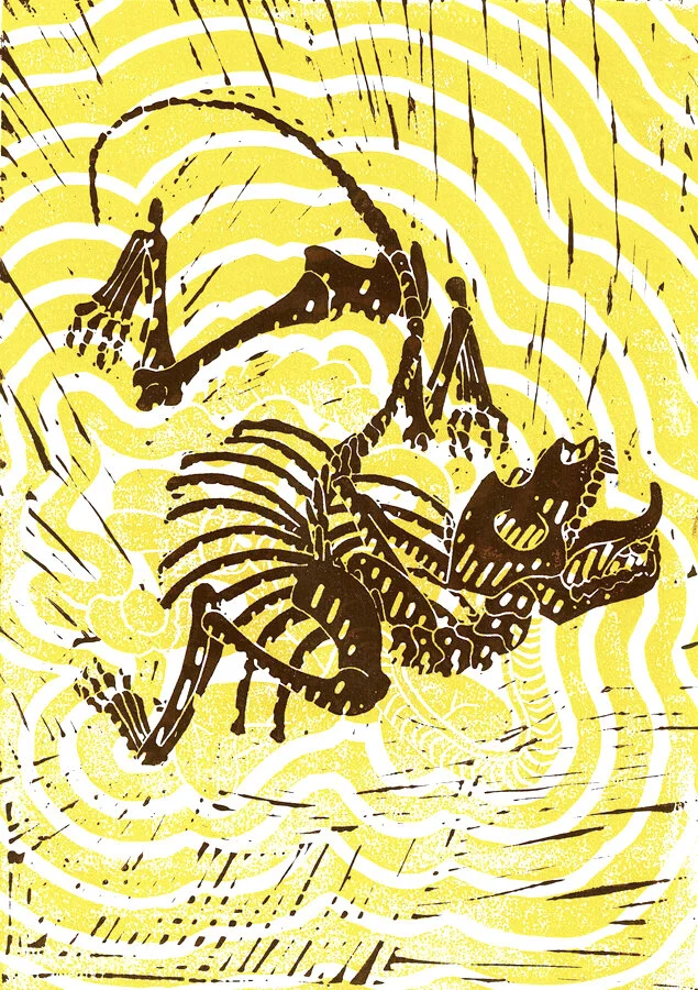 dog-unique.jpg