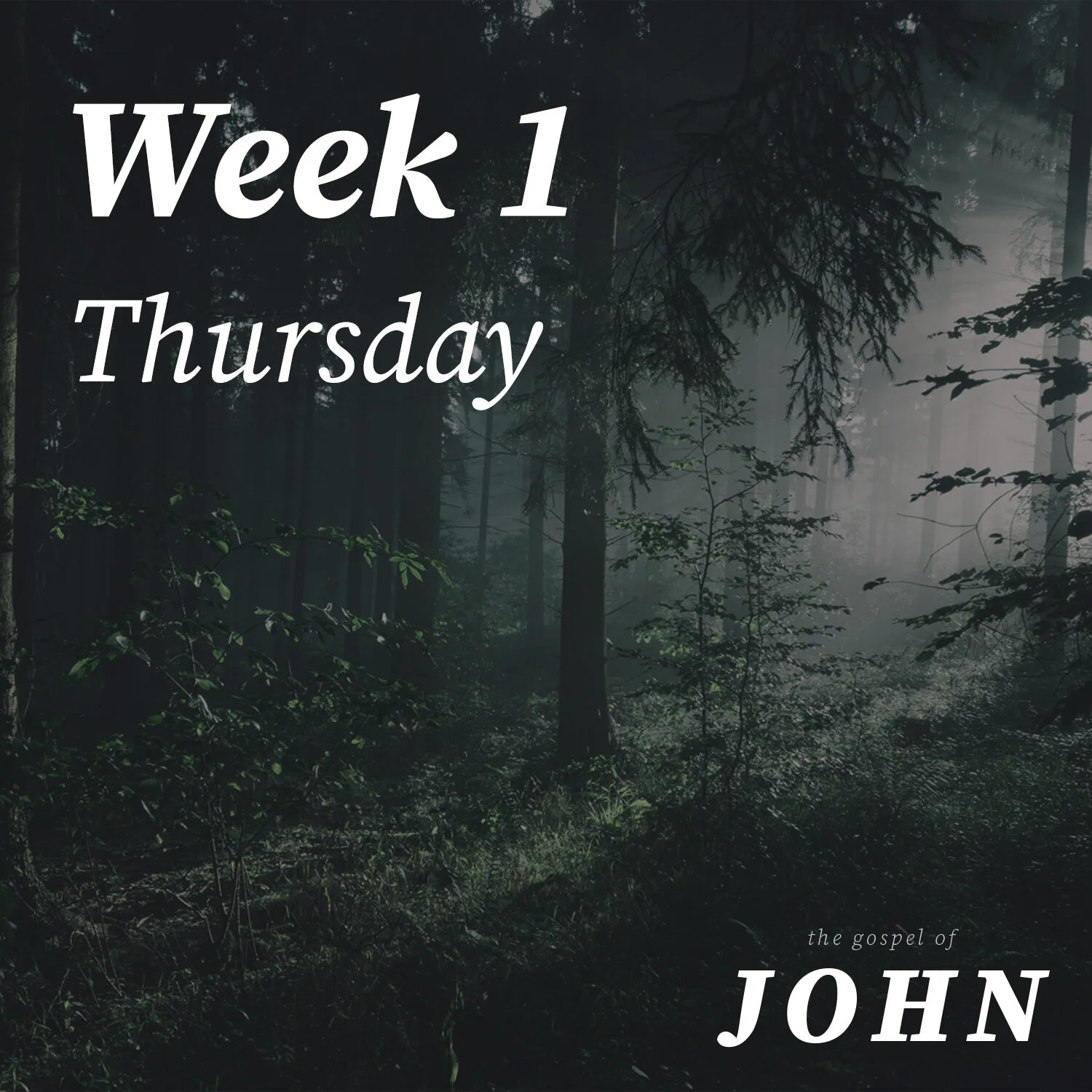 Thursday | Week 1