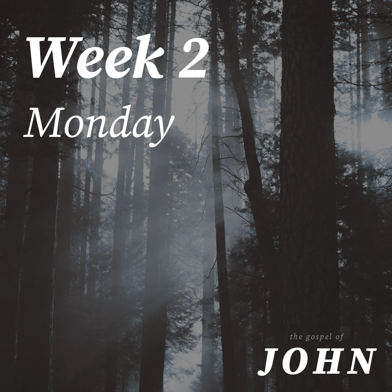 Monday | Week 2