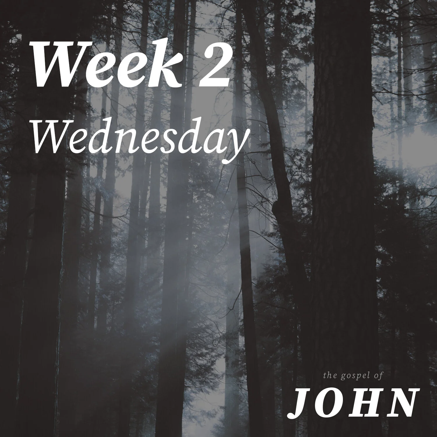 Wednesday | Week 2