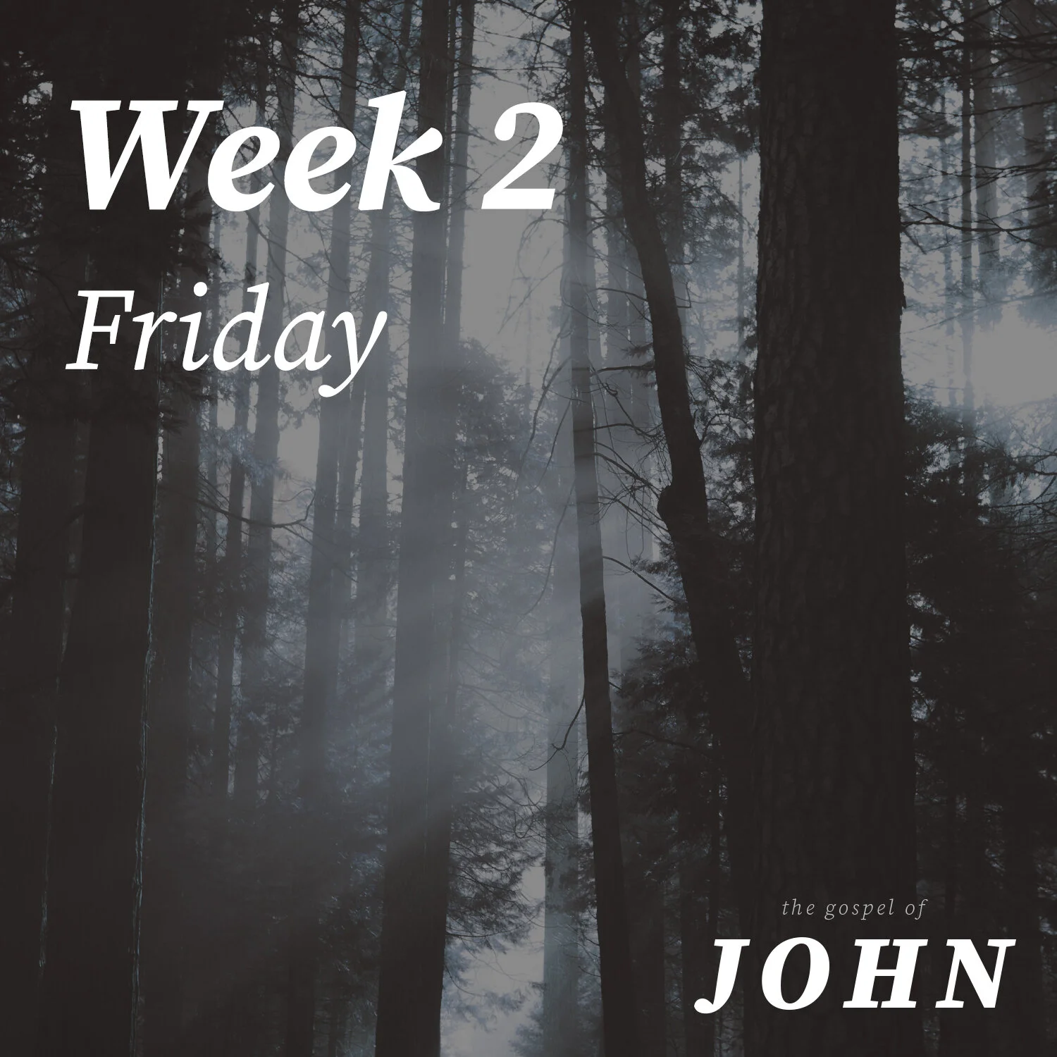 Friday | Week 2