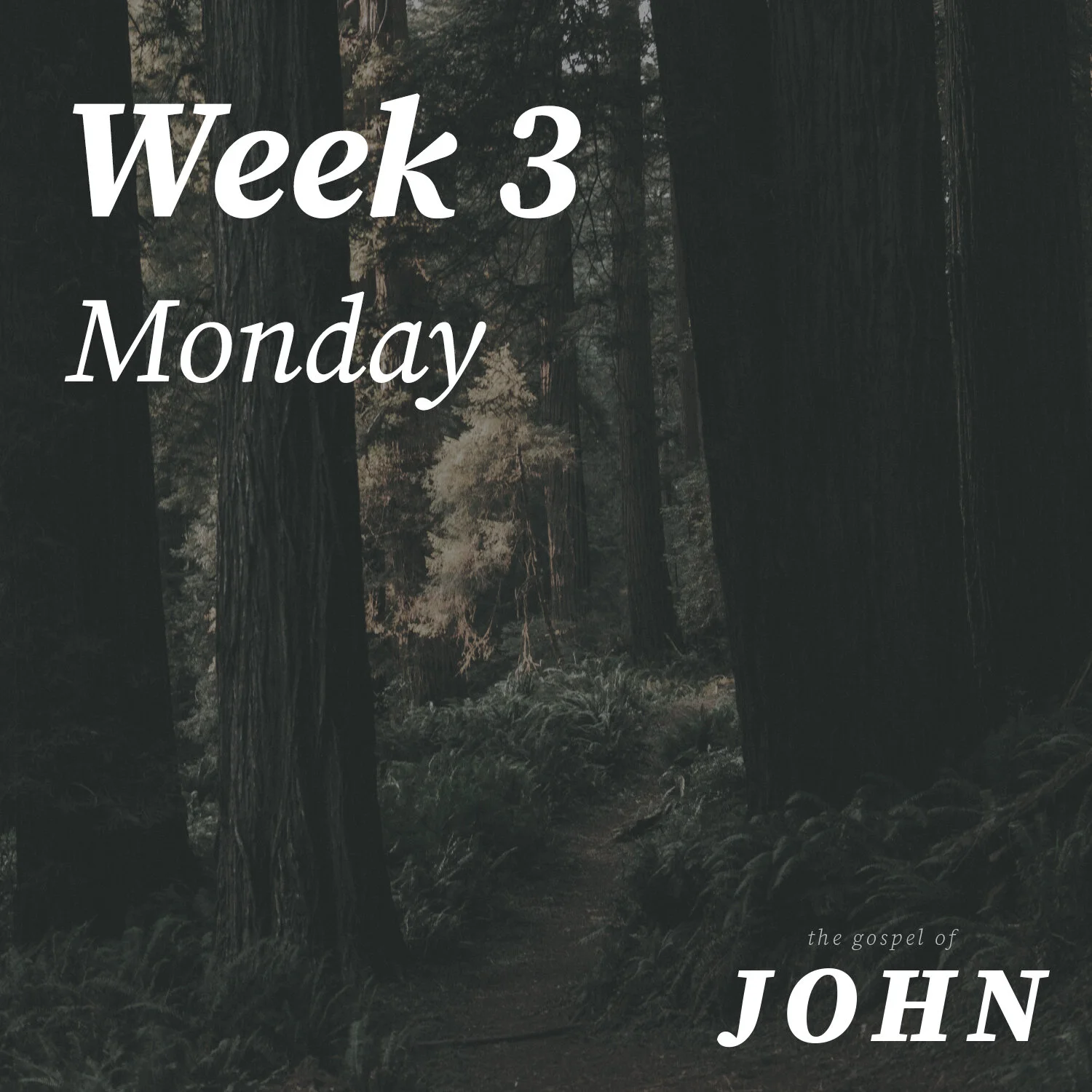 Monday | Week 3