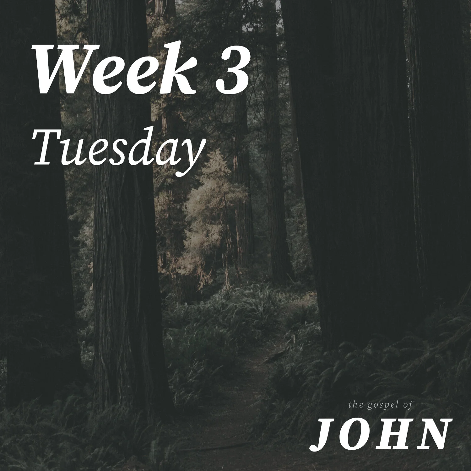Tuesday | Week 3