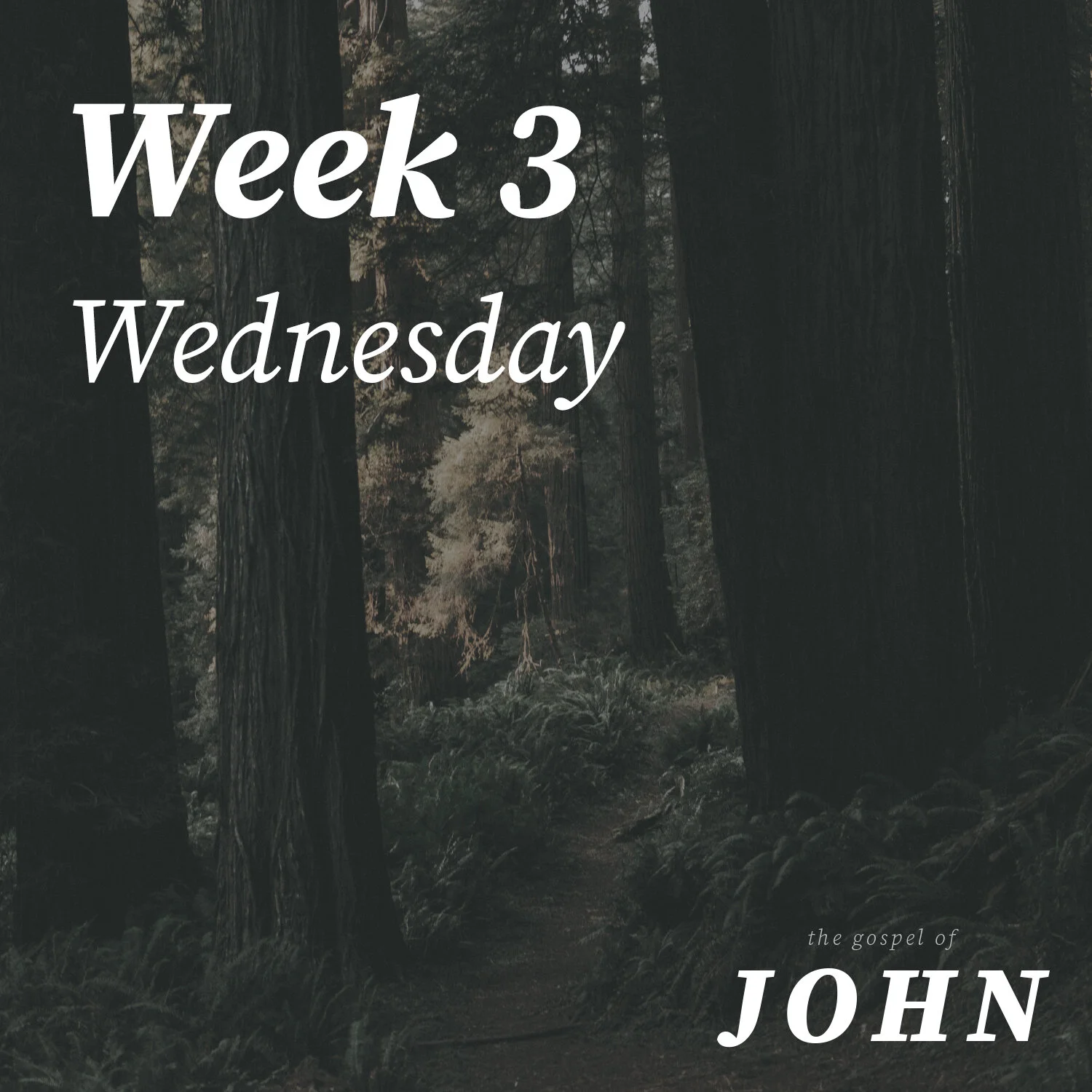 Wednesday | Week 3