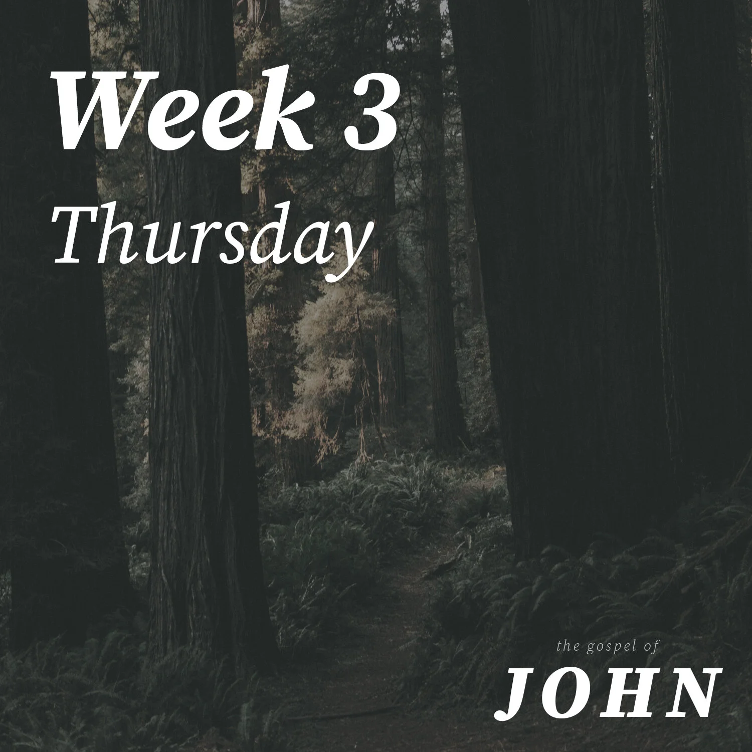 Thursday | Week 3