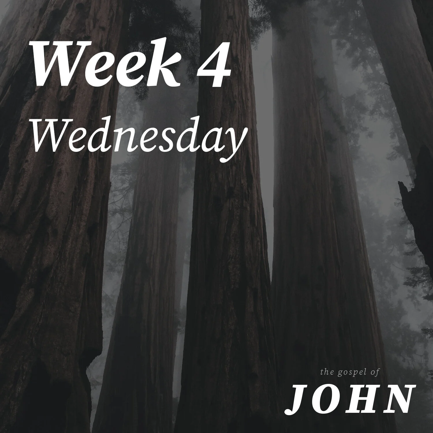 Wednesday | Week 4