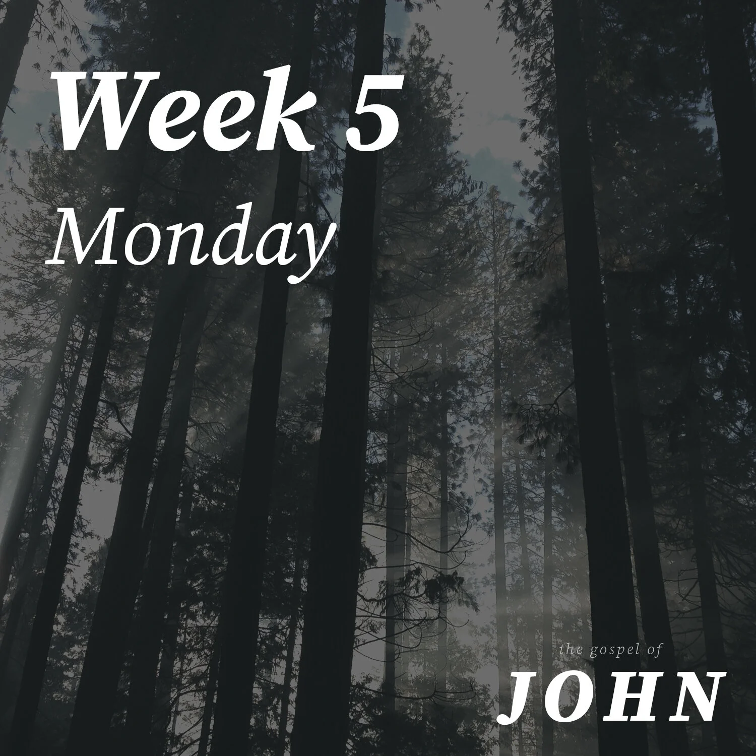 Monday | Week 5