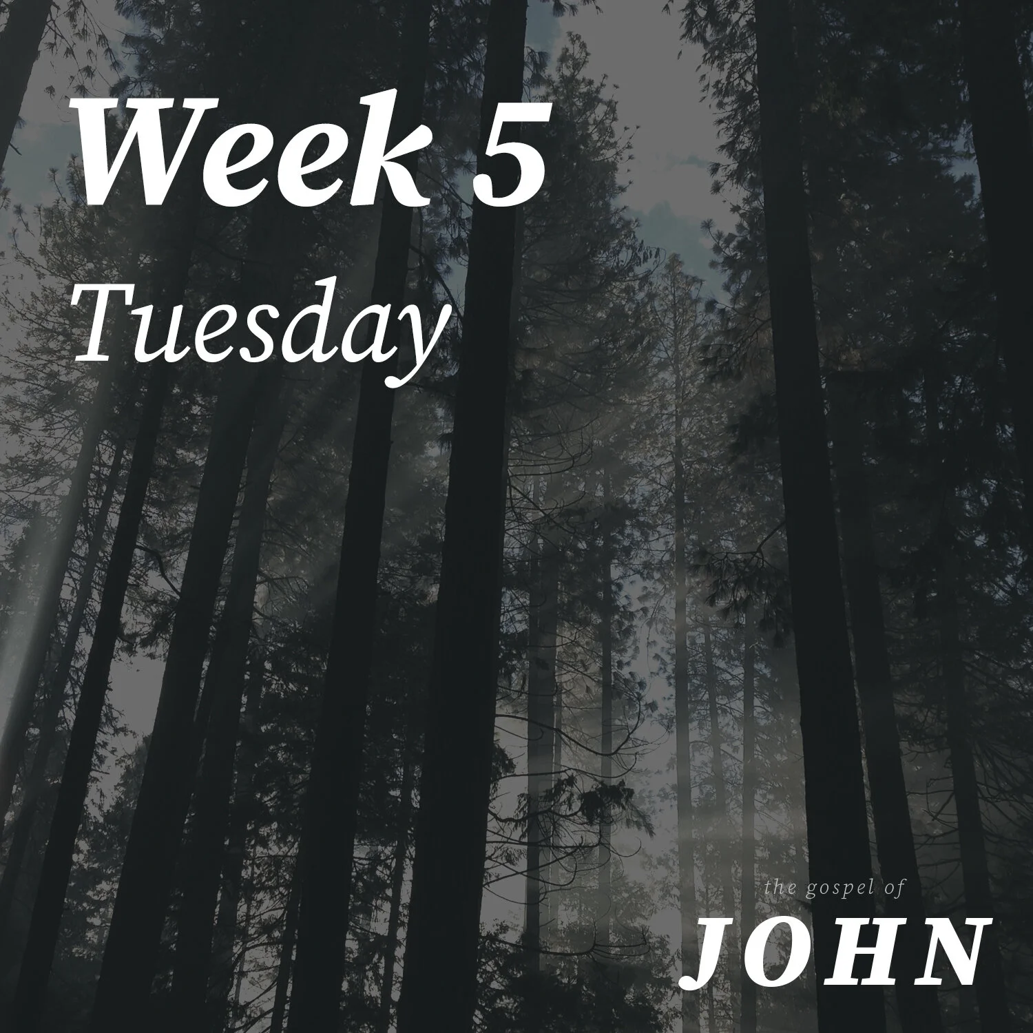 Tuesday | Week 5