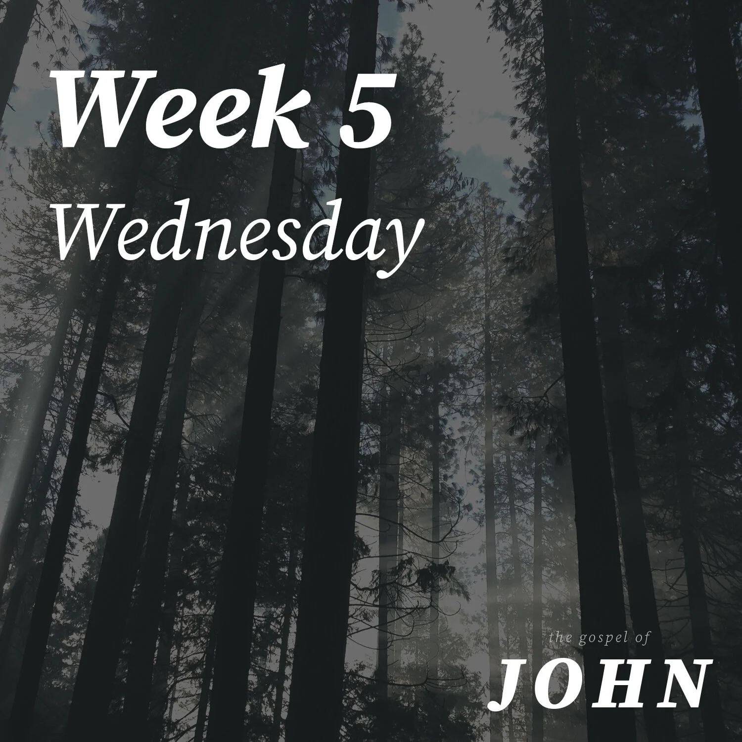 Wednesday | Week 5
