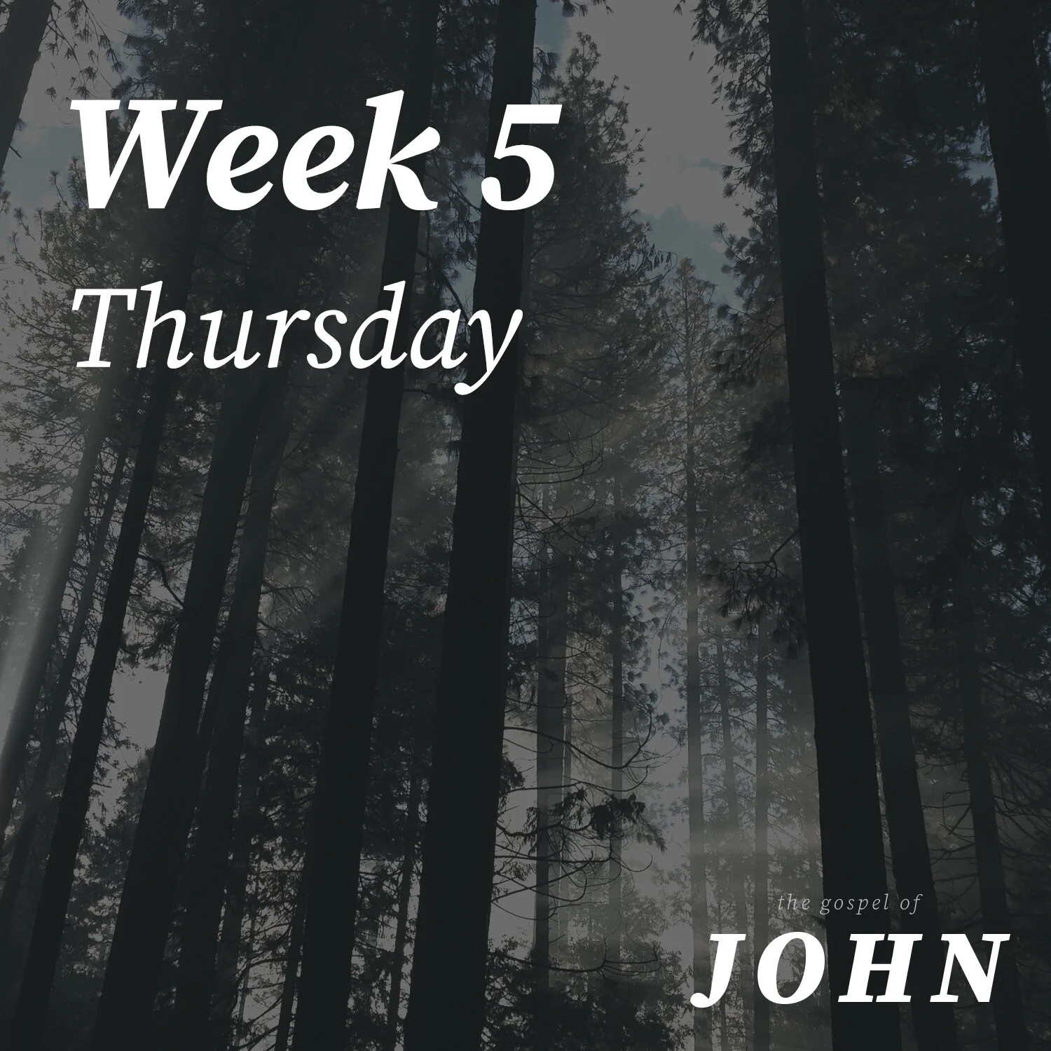 Thursday | Week 5