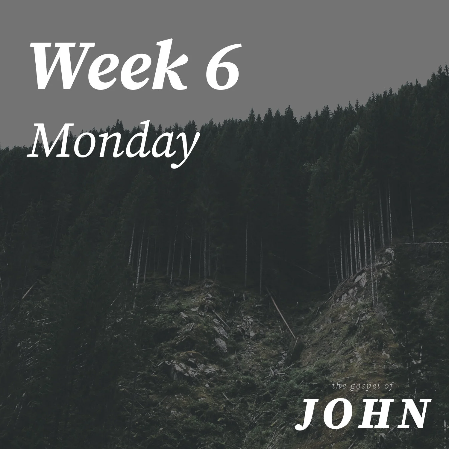 Monday | Week 6
