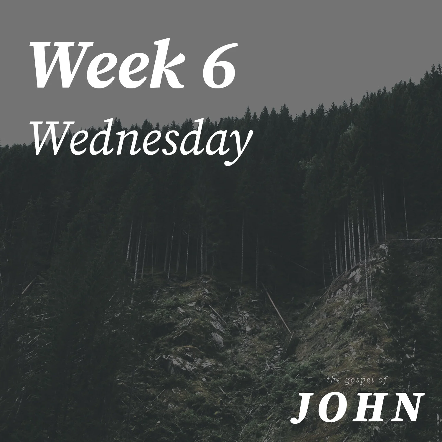 Wednesday | Week 6