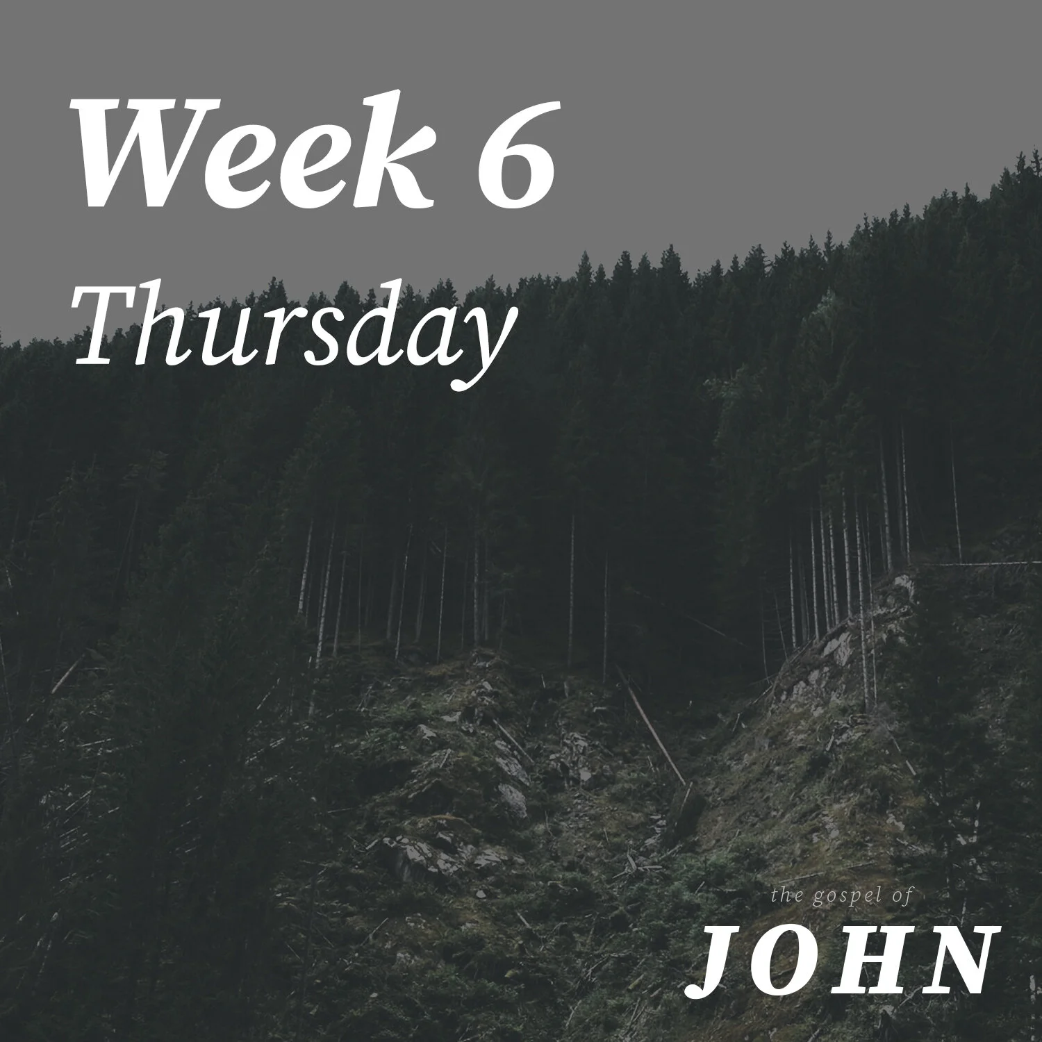 Thursday | Week 6