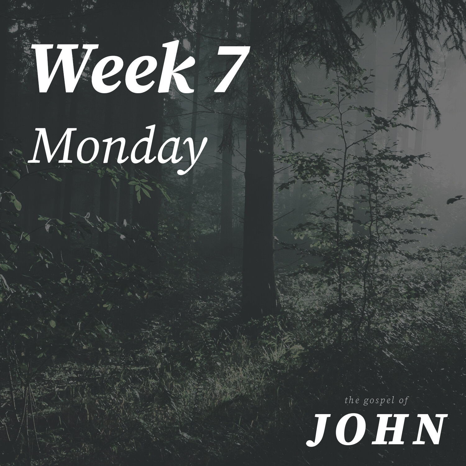 Monday | Week 7