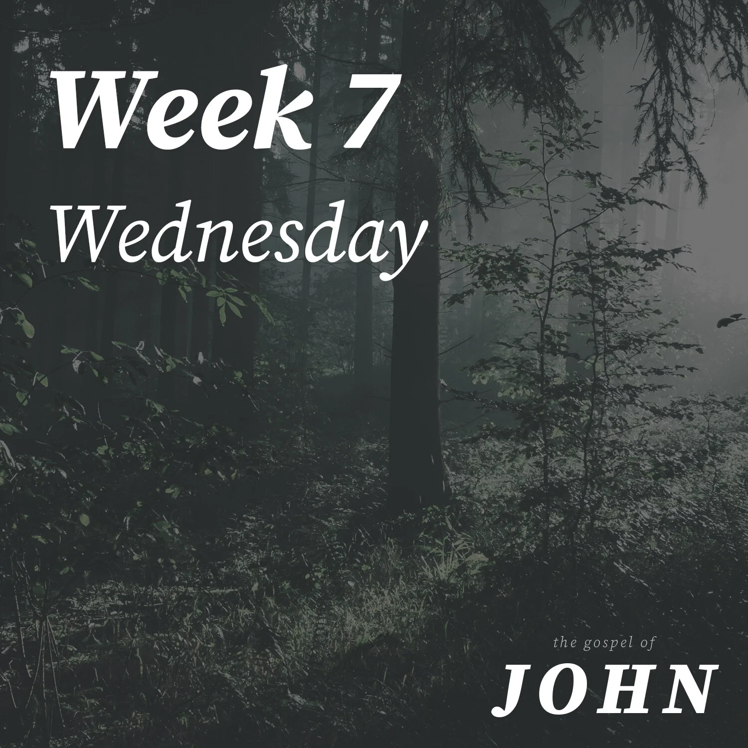 Wednesday | Week 7