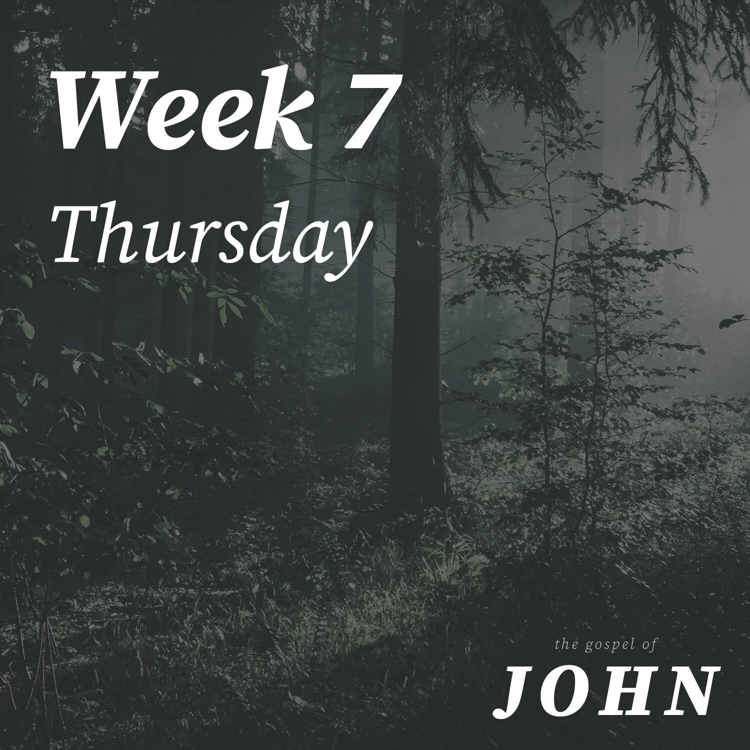 Thursday | Week 7