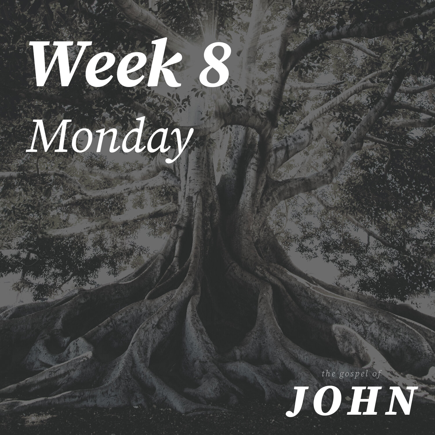 Monday | Week 8