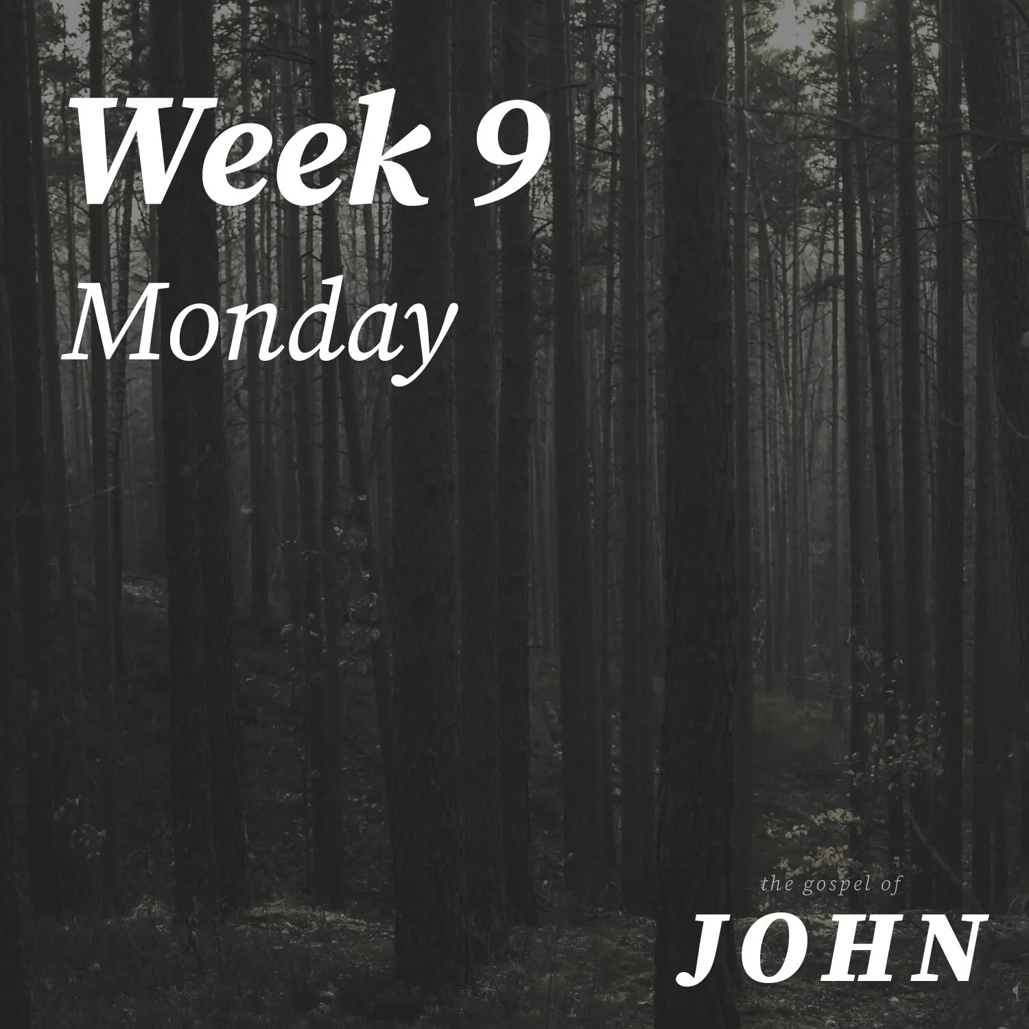 Monday | Week 9