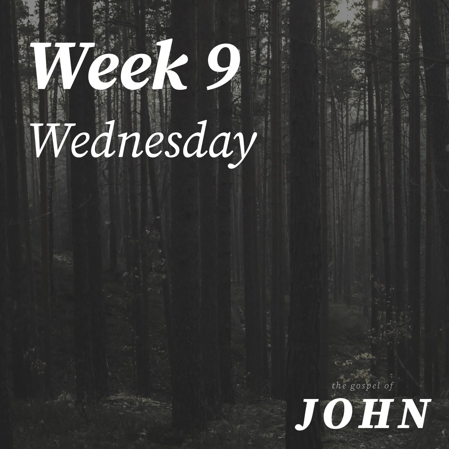 Wednesday | Week 9