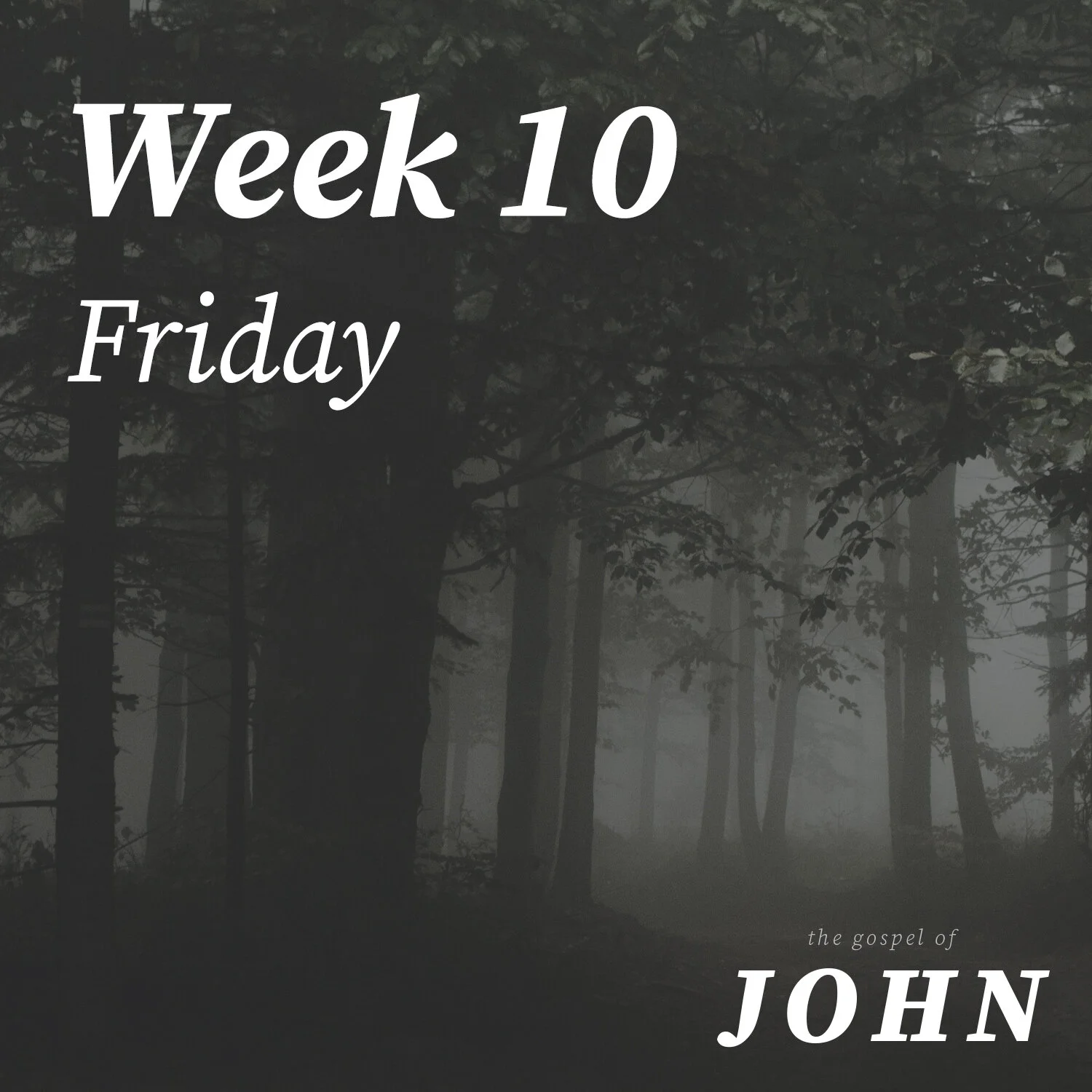 Friday | Week 10