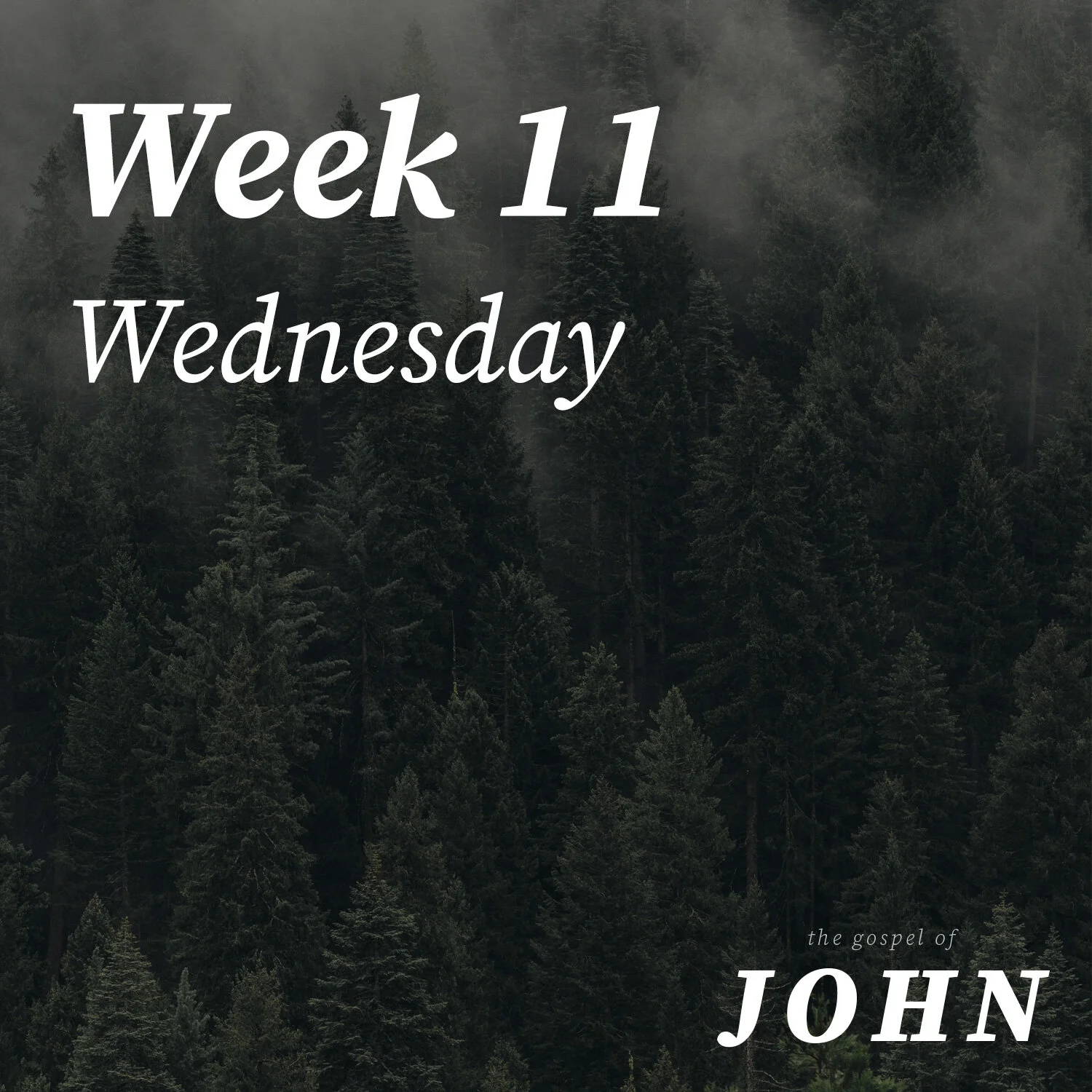 Wednesday | Week 11
