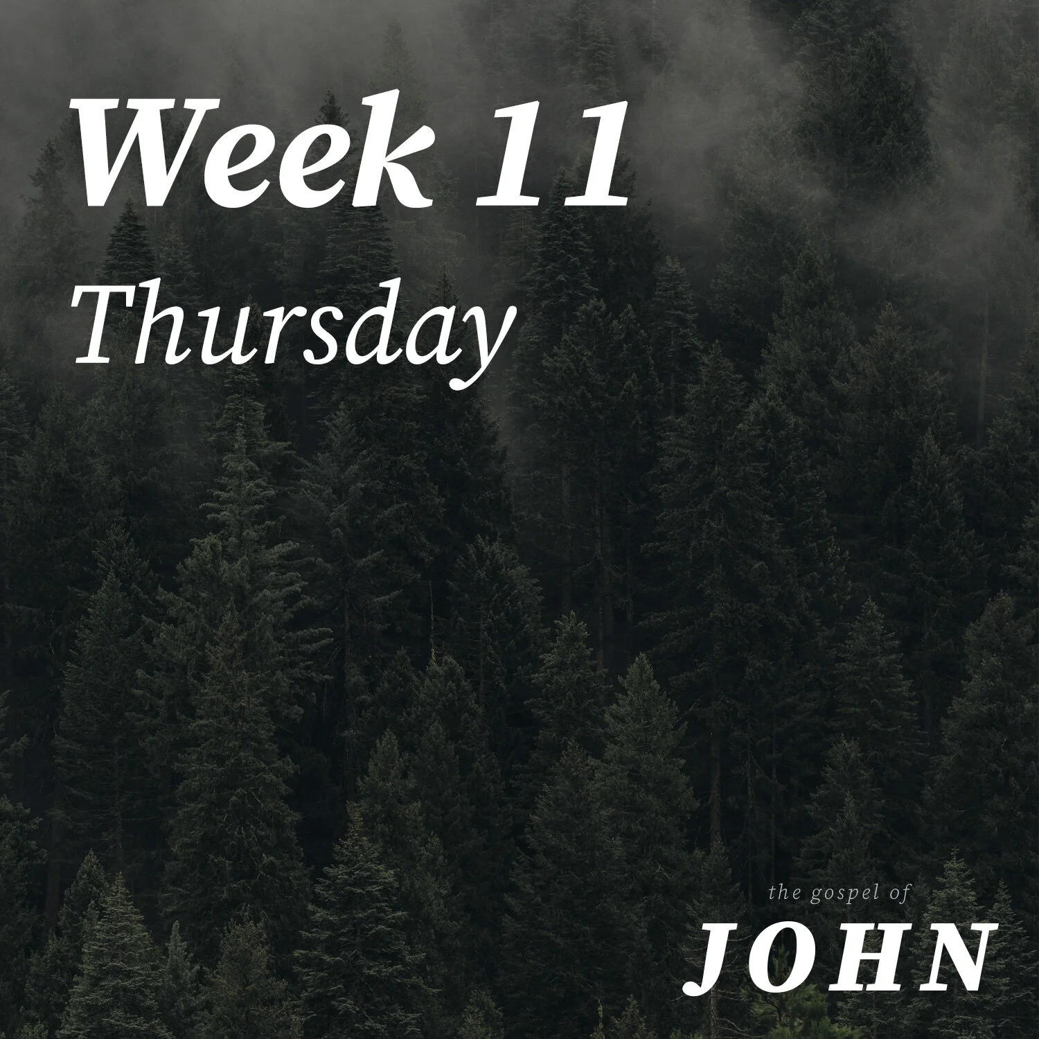 Thursday | Week 11