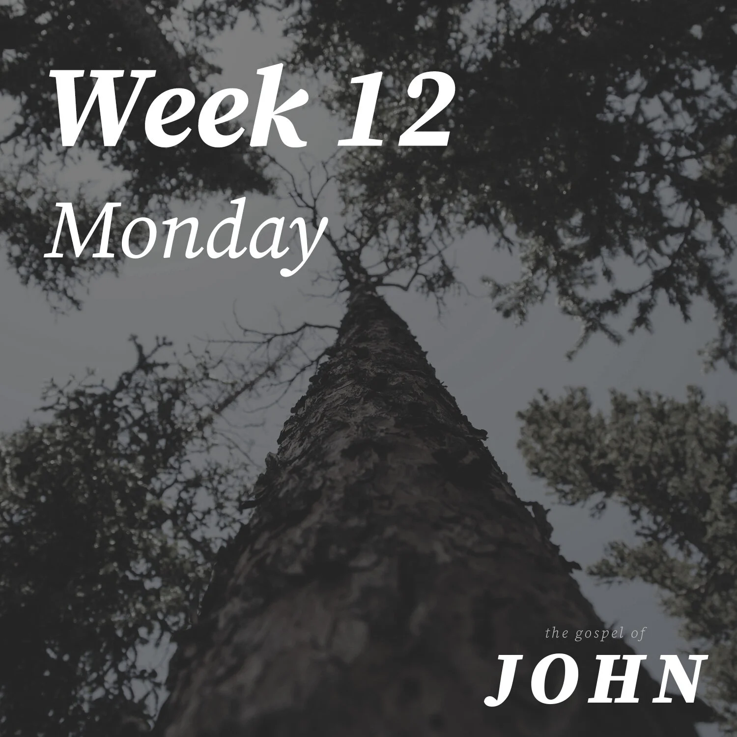 Monday | Week 12